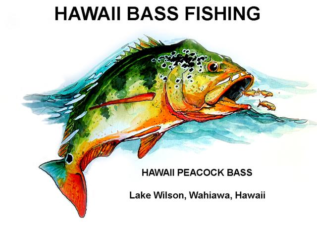 Welcome to Hawaii Bass Fishing: The best fishing in Hawaii..